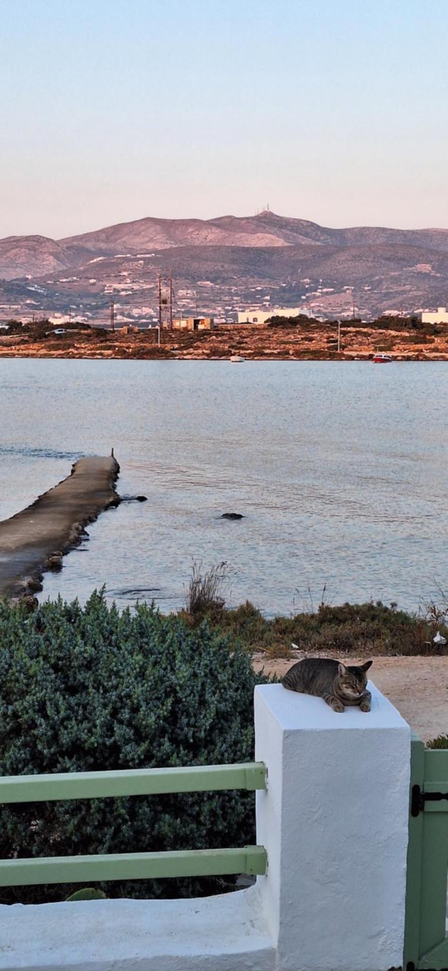 Mike'Splace Antiparos Town Exterior foto